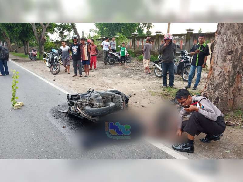 Tabrak Pohon Penghijauan, Pemotor di Sumberrejo Bojonegoro Tewas di TKP