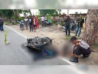 Tabrak Pohon Penghijauan, Pemotor di Sumberrejo Bojonegoro Tewas di TKP