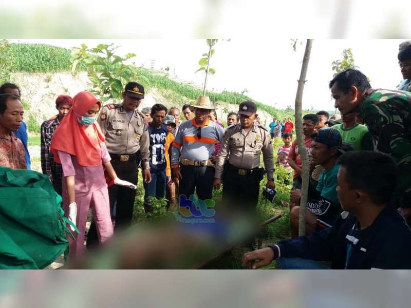 Seorang Kakek di Sekar Bojonegoro Ditemukan Meninggal Dunia Gantung Diri