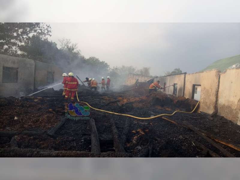 Tahun 2018 di Bojonegoro Terjadi 165 Kasus Kebakaran, Total Kerugian Capai Rp 6,6 Miliar
