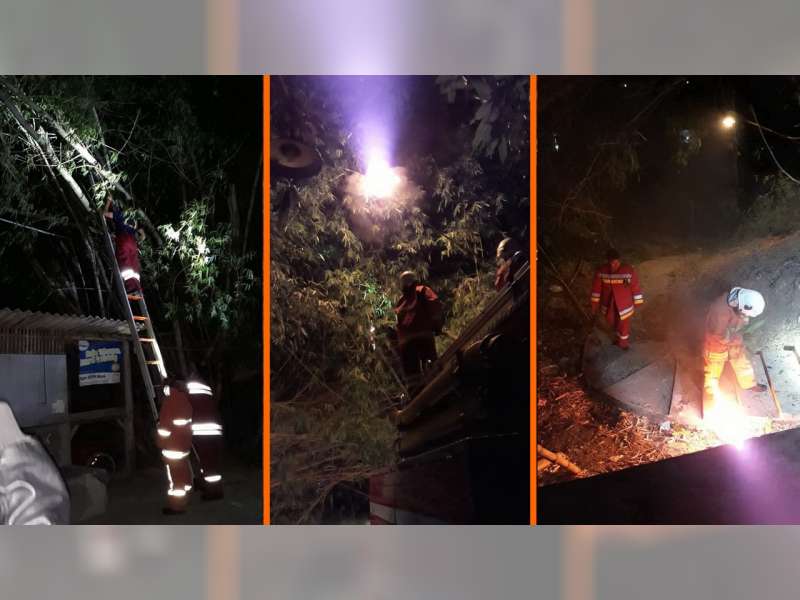 Damkar Bojonegoro Evakuasi Sarang Tawon &lsquo;Ndas&rsquo; yang Ganggu Aktivitas Warga