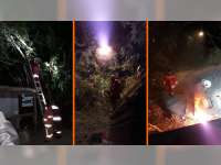 Damkar Bojonegoro Evakuasi Sarang Tawon &lsquo;Ndas&rsquo; yang Ganggu Aktivitas Warga