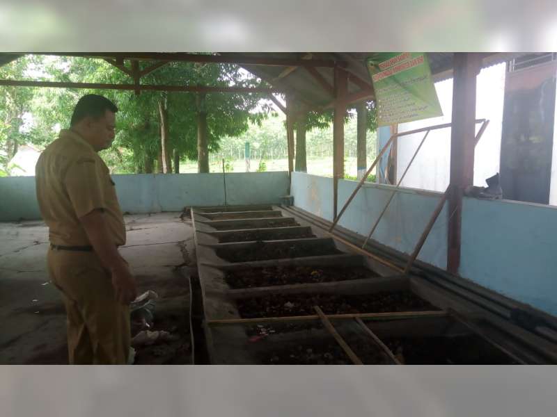 Urai Sampah, DLH Blora Gunakan Lalat Tentara Hitam