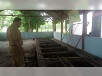 Urai Sampah, DLH Blora Gunakan Lalat Tentara Hitam