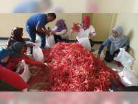 Dinas Pertanian dan Ketahanan Pangan Blora, Borong Cabai Petani