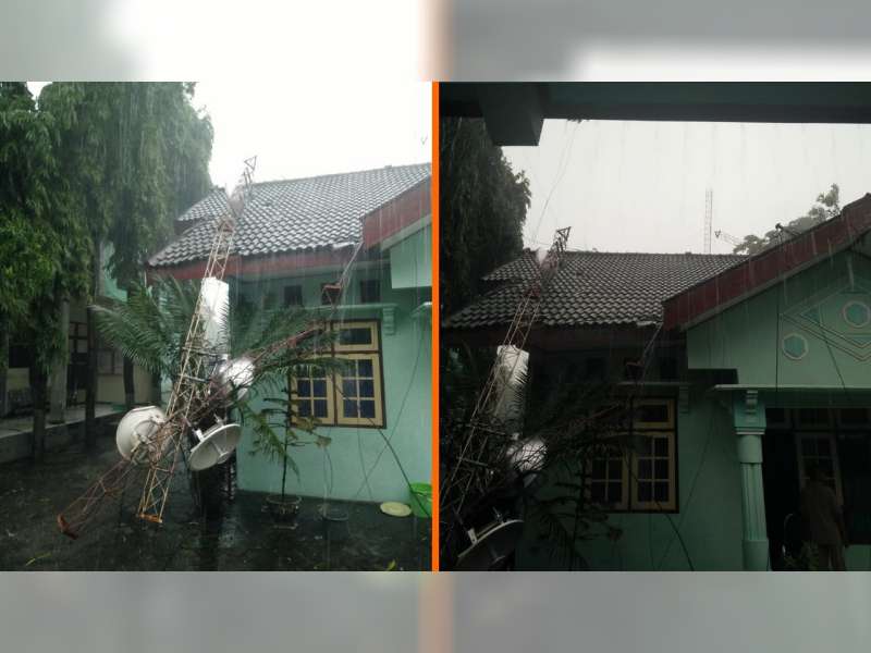 Akibat Hujan Deras Disertai Angin Kencang, Sejumlah Pohon dan Tower di Bojonegoro Roboh