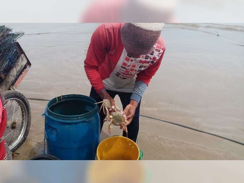 Cuaca Ekstrem, Harga Rajungan di Tuban Melambung