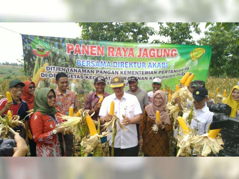 Panen Melimpah, Pemkab Blora Tolak Impor Jagung