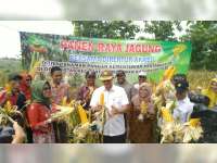 Panen Melimpah, Pemkab Blora Tolak Impor Jagung