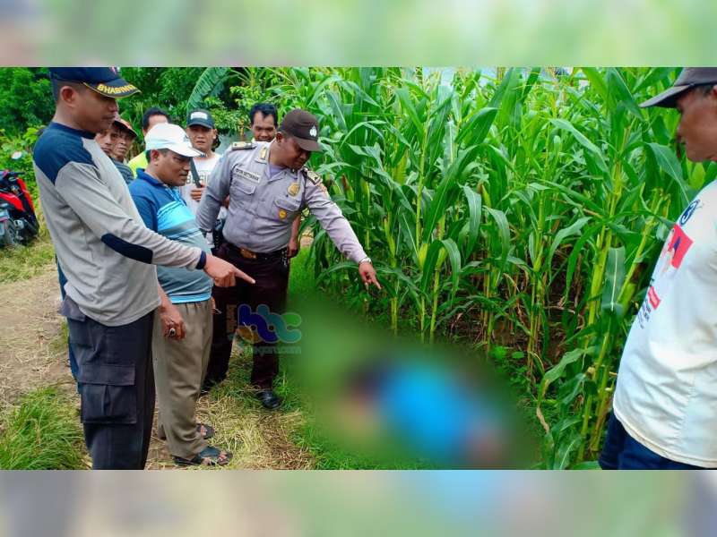 Diduga Serangan Jantung, Warga Sukosewu Bojonegoro Meninggal Dunia di Sawah