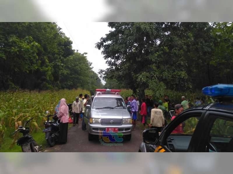 Tabrakan Motor di Bubulan Bojonegoro, Seorang Pengendara Luka Berat