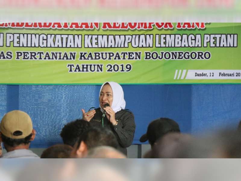 Pemkab Bojonegoro Sosialisasikan Program Pemberdayaan Kelompok Tani