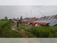 Diterjang Angin Kencang, Kandang Ayam Milik Warga Temayang Bojonegoro Roboh