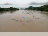 Bojonegoro Kota Masuk Status Siaga Hijau Banjir Bengawan Solo, Trend Naik