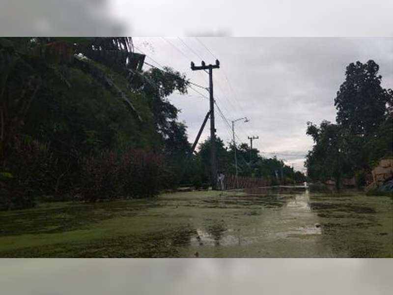 10 Desa di Balen Bojonegoro Terendam Banjir Bandang dan Banjir Bengawan Solo