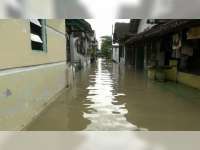 Banjir Bengawan Solo di Bojonegoro Kota Terus Turun Mendekati Siaga Hijau