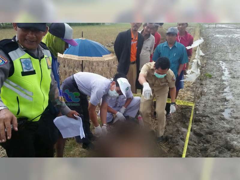 Diduga Penyakit Darah Tinggi Kambuh, Warga Trucuk Bojonegoro Ditemukan Meninggal di Sawah
