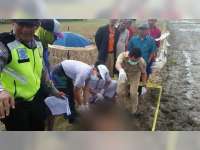 Diduga Penyakit Darah Tinggi Kambuh, Warga Trucuk Bojonegoro Ditemukan Meninggal di Sawah