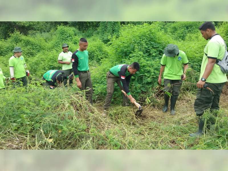 Lestarikan Hutan, IKA SKMA Cabang Blora Gelar Gerakan Tanam Pohon Bersama