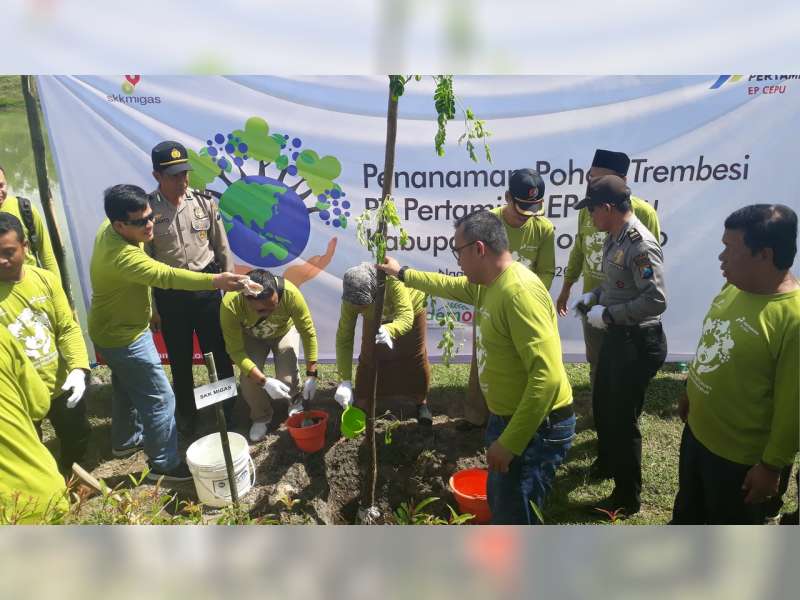 Lestarikan Lingkungan, PT Pertamina EP Cepu Tanam 4 Ribu Pohon Trembesi di Bojonegoro