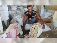 TMMD di Blora, TNI Ajari Warga di Desa Juangjero, Budidaya Jamur Bonggol Jagung