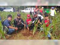 Lapas Tuban&nbsp;Gelar Penanaman Pohon Penghijauan di Kawasan Hutan Merakurak
