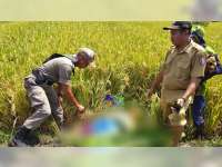 Diduga Serangan Jantung, Warga Sukosewu Bojonegoro Meninggal Dunia di Sawah