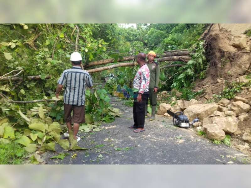 Tanah Longsor dan Pohon Tumbang Terjadi di Jalan Poros Kecamatan Malo Bojonegoro