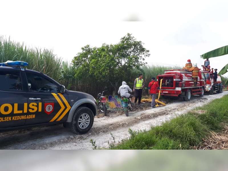 Lahan Tebu Milik PT Perkebunan Nusantara di Kedungadem Bojonegoro Terbakar
