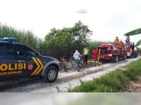 Lahan Tebu Milik PT Perkebunan Nusantara di Kedungadem Bojonegoro Terbakar