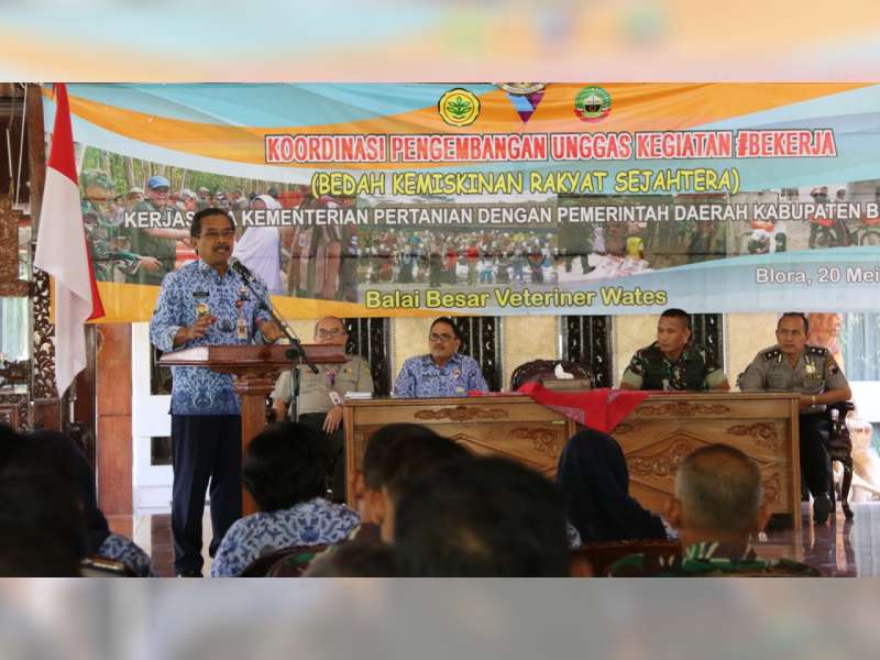 9 953 Rumah Tangga Miskin Di Blora Akan Terima Bantuan Ternak Ayam