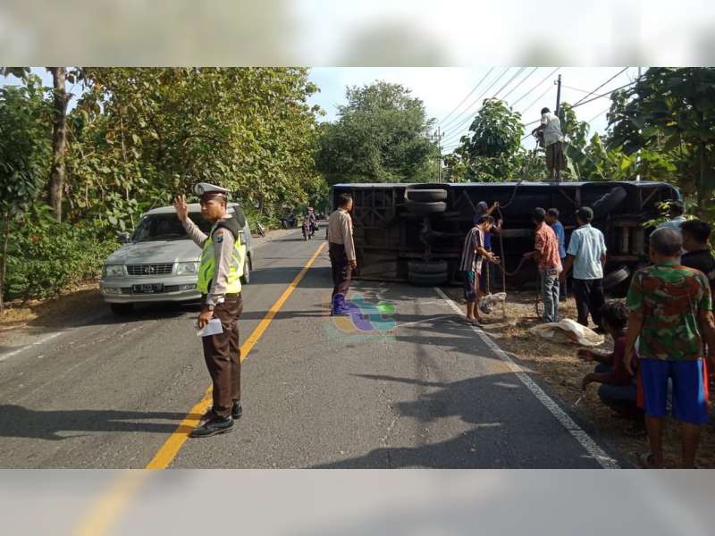 Bus Gunung Mas Terguling di Margomulyo Bojonegoro, Sopir dan Seorang Penumpang Luka-Luka