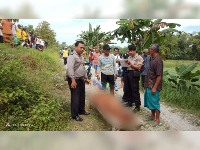 Hendak Ambil Daun Pisang, Warga Sukosewu Bojonegoro Meninggal Dunia Tersengat Listrik