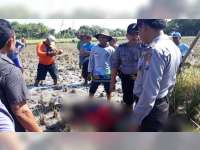 Warga Rengel Tuban Meninggal Dunia saat Cari Jerami di Area Pesawahan Kanor Bojonegoro