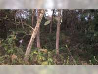 Mayat Laki-Laki Tanpa Identitas Ditemukan di Dalam Karung di Hutan Randublatung Blora