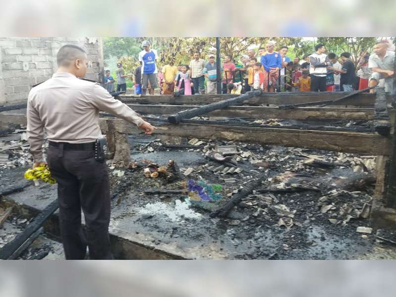 Kandang Kambing Milik Warga Kapas Bojonegoro Terbakar, 14 Ekor Kambing Terpanggang Api
