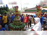 Kirab Ancak dan Kroyokan Meriahkan Tradisi Sedekah Bumi Desa Bogorejo Blora