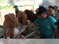 Berikut ini Pemenang Lomba Ternak Sapi dan Kambing Kabupaten Blora