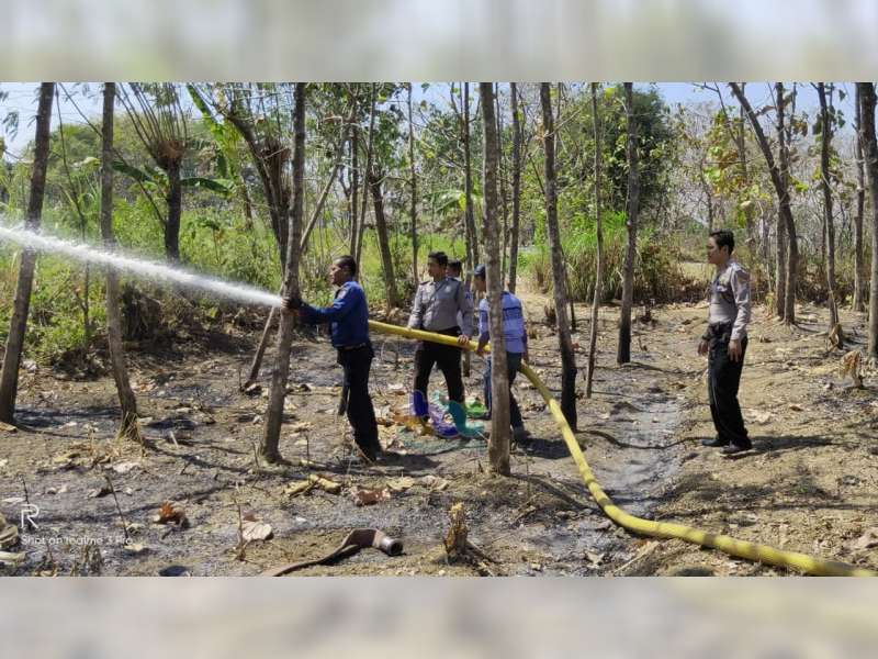 Lahan Tebu Milik Warga Kedungadem Bojonegoro Terbakar