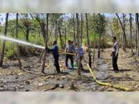 Lahan Tebu Milik Warga Kedungadem Bojonegoro Terbakar