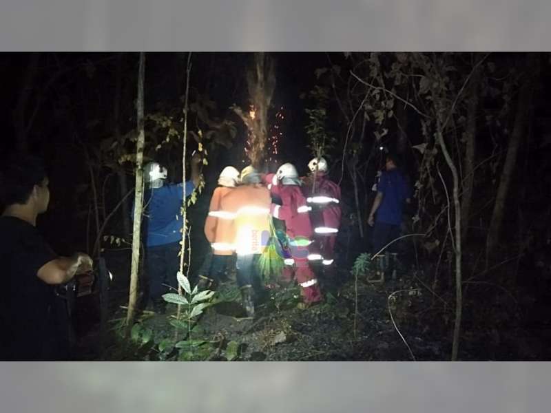Semak Belukar Hutan Jati Milik Perhutani di Trucuk Bojonegoro Terbakar