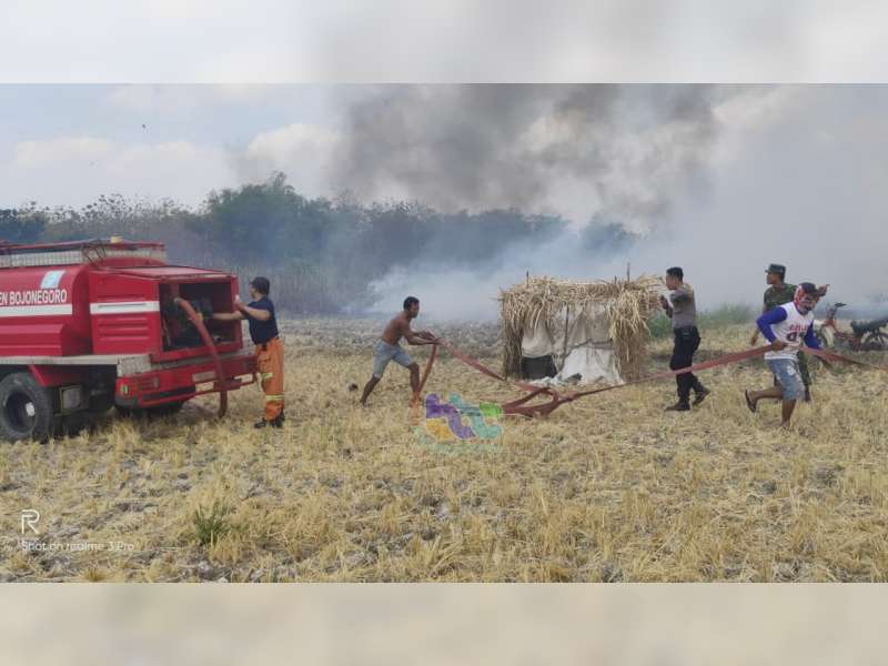 Lagi, Lahan Tebu Milik 2 Warga Kedungadem Bojonegoro Terbakar