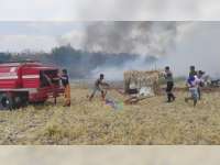 Lagi, Lahan Tebu Milik 2 Warga Kedungadem Bojonegoro Terbakar