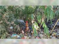 Tumpukan Sampah dan Rumpun Bambu di Kedungadem Bojonegoro Terbakar