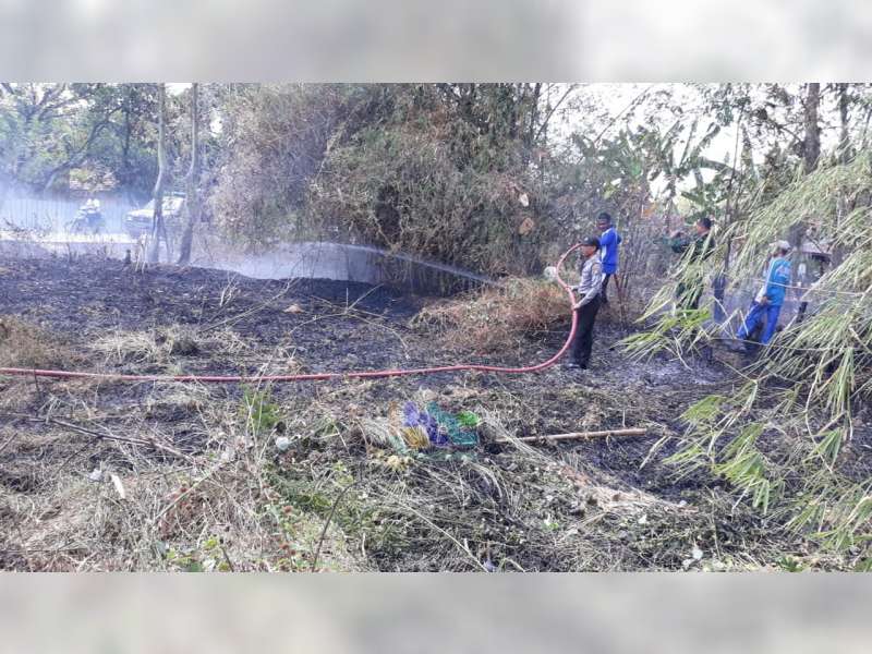Akibat Bakar Sampah, Rumpun Bambu dan Semak di Kedungadem Bojonegoro Terbakar