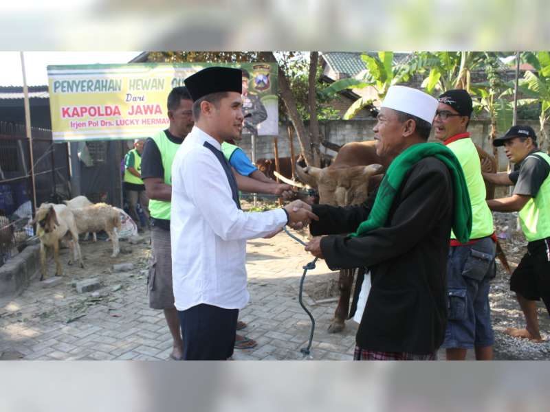 Kapolres Bojonegoro Serahkan Hewan Kurban dari Kapolda Jatim ke 4 Pondok Pesantren