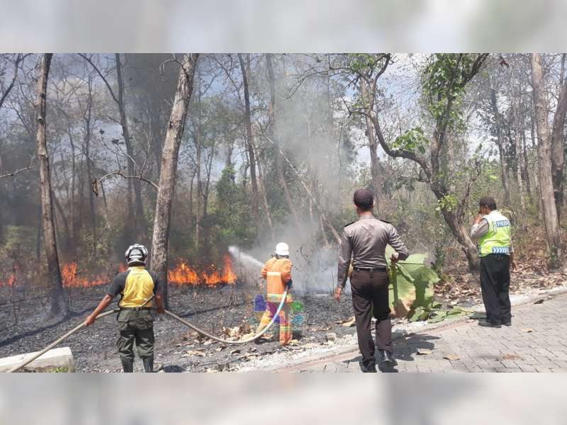 Semak Belukar Hutan Jati di Area Lokasi Wisata Khayangan Api Bojonegoro Terbakar