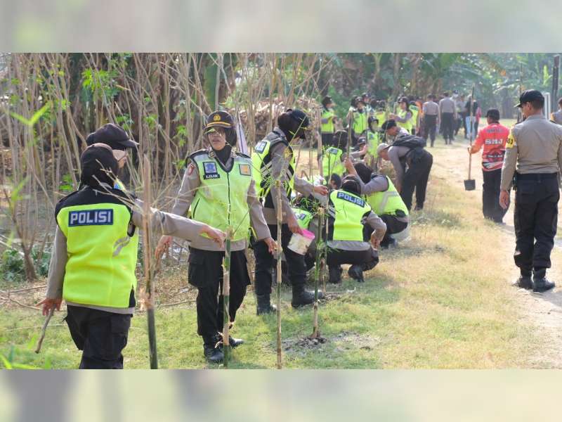 Polwan Polres Bojonegoro Bersama Warga Tanam Bambu di Bantaran Sungai Bengawan Solo