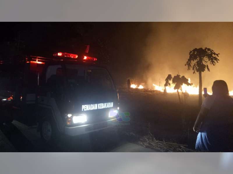 Lahan Tebu Milik PG Poerwodadie di Kaperla Padangan Bojonegoro Terbakar