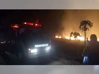 Lahan Tebu Milik PG Poerwodadie di Kaperla Padangan Bojonegoro Terbakar